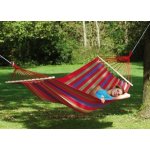 Amazonas Aruba cayenne – Zboží Mobilmania