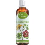 Serafin Lichořeřišnice tinktura z pupenů 50 ml – Hledejceny.cz