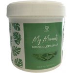 LoWell krystaly do sauny mentol 100 g – Hledejceny.cz