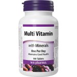 Webber Naturals MultiVitamin with Minerals 100 tablet – Hledejceny.cz