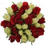 Kytice 35 míchaných růží AGATHA 50cm – Zboží Dáma