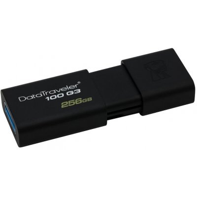 Kingston DataTraveler 100 G3 256GB DT100G3/256GB – Hledejceny.cz