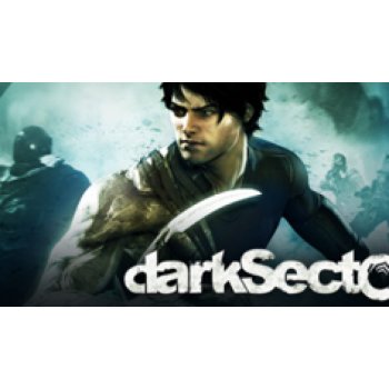 Dark Sector