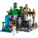 LEGO® Minecraft® 21189 Jeskyně kostlivců – Sleviste.cz