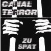 Hudba Zu Spaet / Canalterror