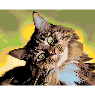 ZUTY Malování podle čísel MOUROVATÝ KOCOUR 40 x 50 cm – Sleviste.cz