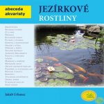 Jezírkové rostliny – Hledejceny.cz