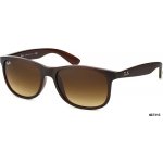 Ray-Ban RB4202 6073 13 – Hledejceny.cz