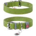 CoLLaR Obojek kožený WAUDOG Classic – Zbozi.Blesk.cz