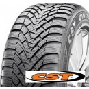 CST Medallion Winter WCP1 225/50 R17 98V