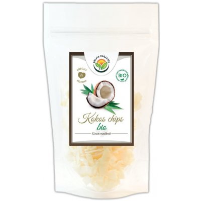Salvia Paradise Kokos plátky chipsy Bio 100 g – Hledejceny.cz