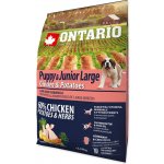 Ontario Puppy & Junior Large Chicken & Potatoes & Herbs 2,25 kg – Sleviste.cz