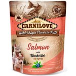 Carnilove Puppy Paté Salmon with Blueberries 300 g – Sleviste.cz