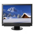 Eizo FX2431