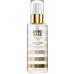 James Read Gradual Tan samoopalovací mlha na obličej 100 ml – Hledejceny.cz
