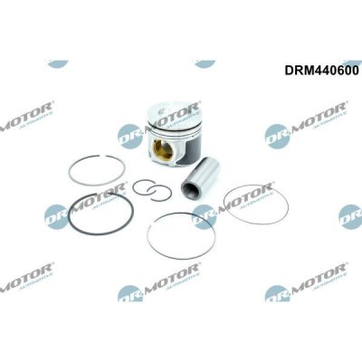 Dr.Motor Automotive DRM440600 – Hledejceny.cz
