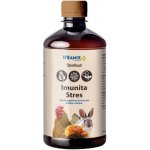 Stimflash Imunita, stres 0,5 l – Hledejceny.cz
