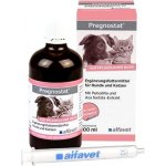 Pulmo ALFA pro psy a kočky při kašli,rýmě a nachlazení 100 ml – Hledejceny.cz