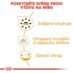 Royal Canin Chihuahua Adult 3 kg – Zbozi.Blesk.cz