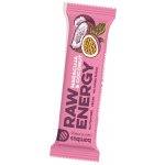 Bombus RAW energy 20x50 g – Zbozi.Blesk.cz