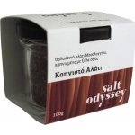 Salt Odyssey mořská sůl uzená na bukovém dřevě 100 g – Sleviste.cz