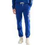 New York Rangers Jogging Pant Hollister – Zboží Dáma