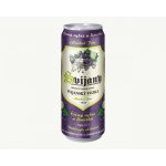 Svijany Svijanský Vozka Černý rybíz a limetka 0% 0,5 l (plech) – Sleviste.cz