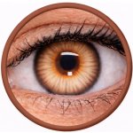 MaxVue barevné čočky Phantasee Nülook Misty Brown 2 čočky měsíční nedioptrické – Hledejceny.cz