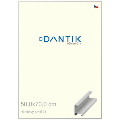 DANTIK rámeček 50 x 70 profil 6001 Stříbrná matná – Zboží Živě
