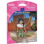 Playmobil 71200 Bojovnice – Hledejceny.cz