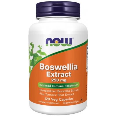 Now Foods Boswellia Extrakt + Kurkuma 250 mg 120 kapslí
