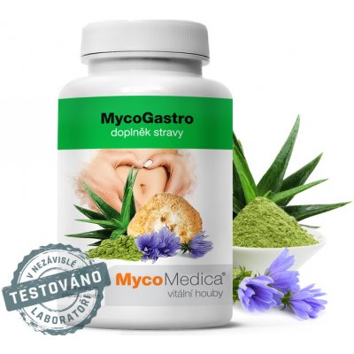 MycoMedica MycoGastro prášek 2 x 90 g – Hledejceny.cz