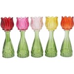5ks barevný mix skleněný svícen/ váza tulipán Love Tulip - Ø 7*22 cm - daan kromhout – Zboží Mobilmania