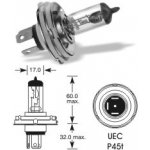 Elta H4 P45t-41 60-55W 6V asymetrická – Hledejceny.cz