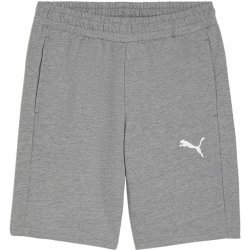 Puma teamGOAL Casuals Shorts Jr 658609-33