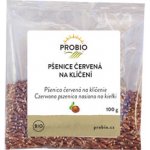 Probio Pšenice červená na klíčení 100 g – Zboží Dáma
