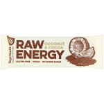 Bombus Raw Energy Coconut & Cocoa 50 g – Zbozi.Blesk.cz