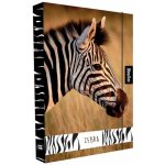 Karton P+P A4 Jumbo Zebra 8-76922 – Zboží Dáma