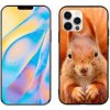 Pouzdro a kryt na mobilní telefon Apple mmCase Gelové iPhone 12 - veverka