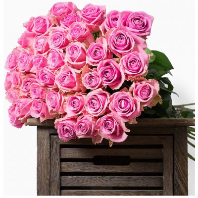 Růžové růže – Hledejceny.cz