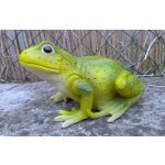 Žába zelená 25 x 18 cm – Zboží Dáma