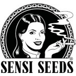 Sensi Seeds Early Skunk semena neobsahují THC 5 ks – Zboží Dáma