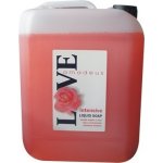 Amadeus Love Intensive tekuté mýdlo 5 l – Sleviste.cz