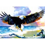 Norimpex Diamantové malování Orel 30 x 40 cm – Sleviste.cz