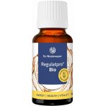 Dr. Niedermaier Regulatpro BIO ananas 350 ml – Hledejceny.cz