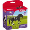 Schleich 42457 Hřebec Friského koně jezdecký turnaj