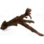 Macenauer Mangroven-Wurzel velký 35-60 cm – Zboží Mobilmania