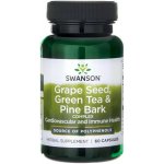 Swanson Grape Seed Green Tea & Pine Bark 60 kapslí – Hledejceny.cz