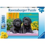 Ravensburger 129508 Roztomilá mláďata 300 dílků – Hledejceny.cz