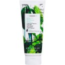 Korres Body Milk Mint tea tělové mléko 200 ml